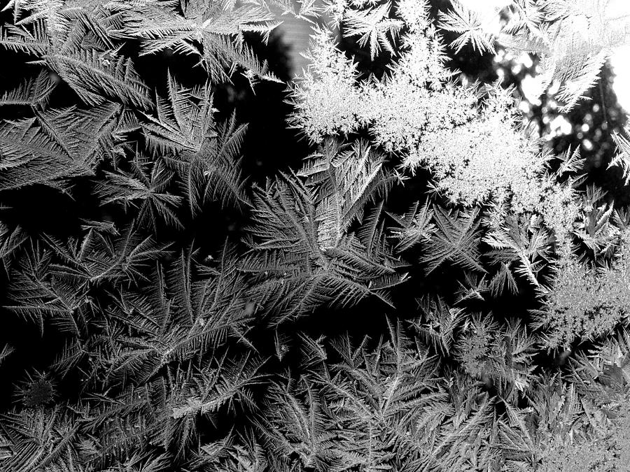 Crystalline Structures Photograph by Polly Castor
