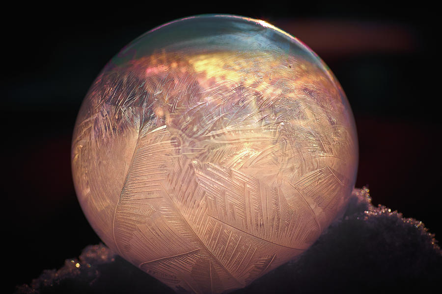 Crystallizing Bubble2 Photograph by Loni Collins