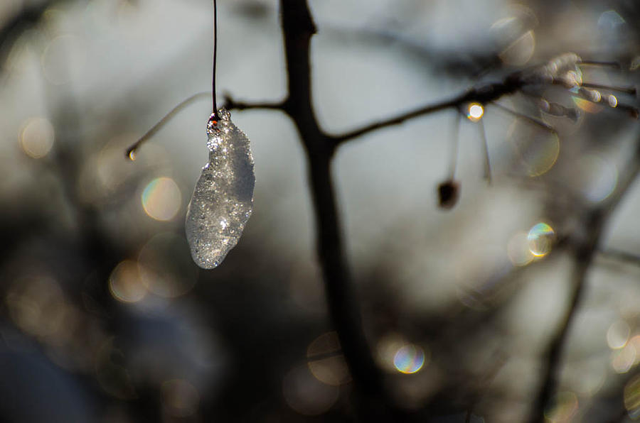 Nature Photograph - Crystals in Nature by Linda Howes