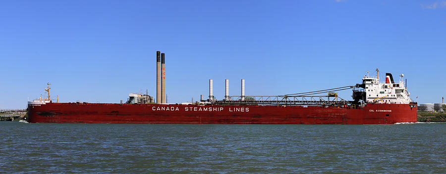 CSL Assiniboine and Factory Panorama Photograph by Mary Bedy
