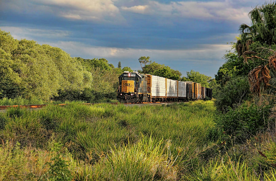 CSX 2789 Freight Train Photograph by HH Photography of Florida