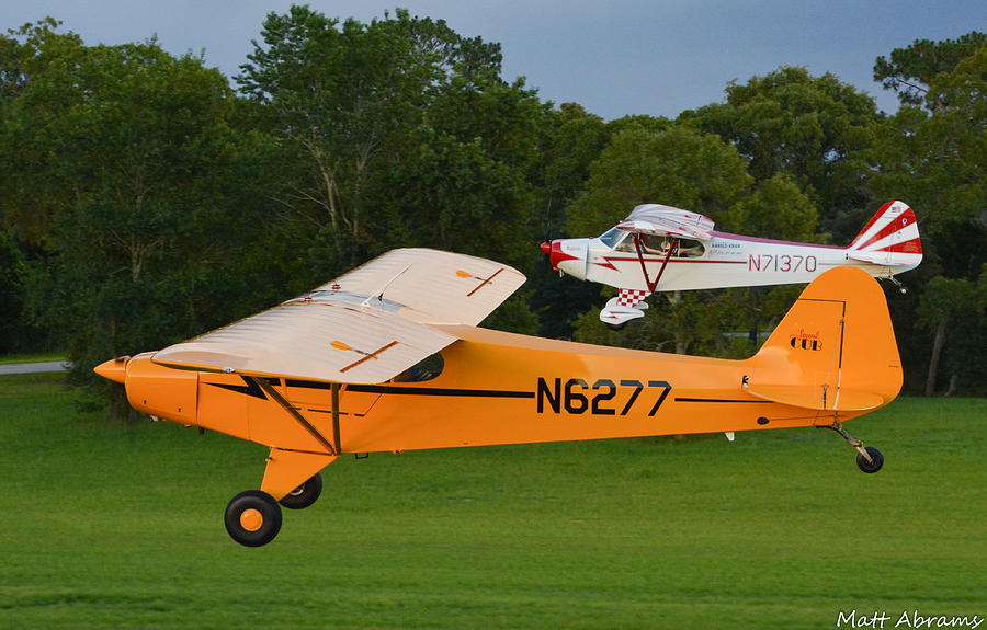 Cubbin Photograph by Matt Abrams Cubbin Photograph by Matt Abrams