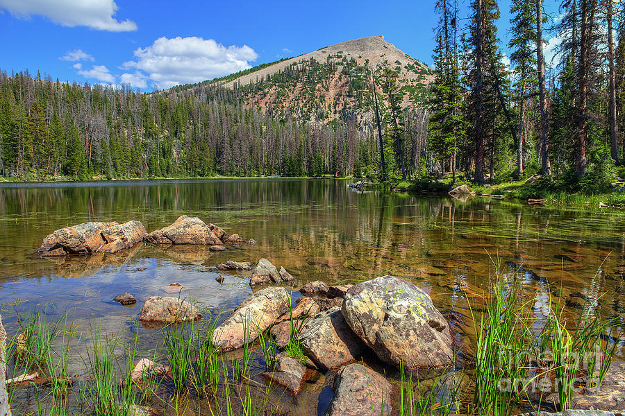 Cuberant Pond and Mount Marsell Photograph by Spencer Baugh