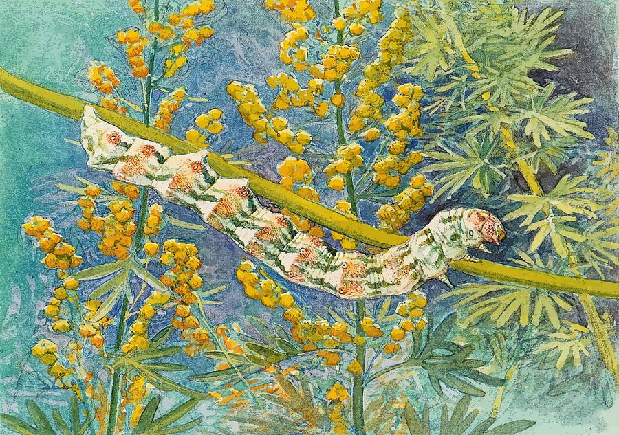 Cucullia Absinthii Caterpillar Painting by Taiche Acrylic Art