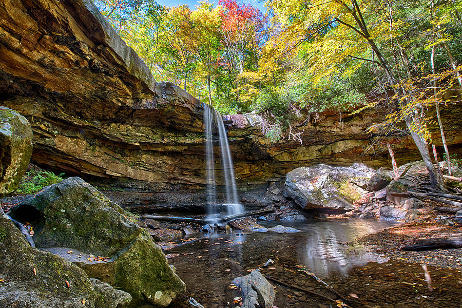 Nature Photograph - Cucumber Falls in Ohiopyle State Park by Brendan Reals