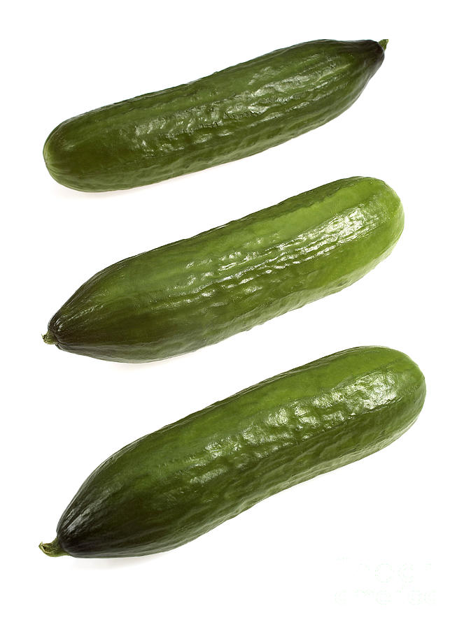 Cucumbers Photograph by Gerard Lacz