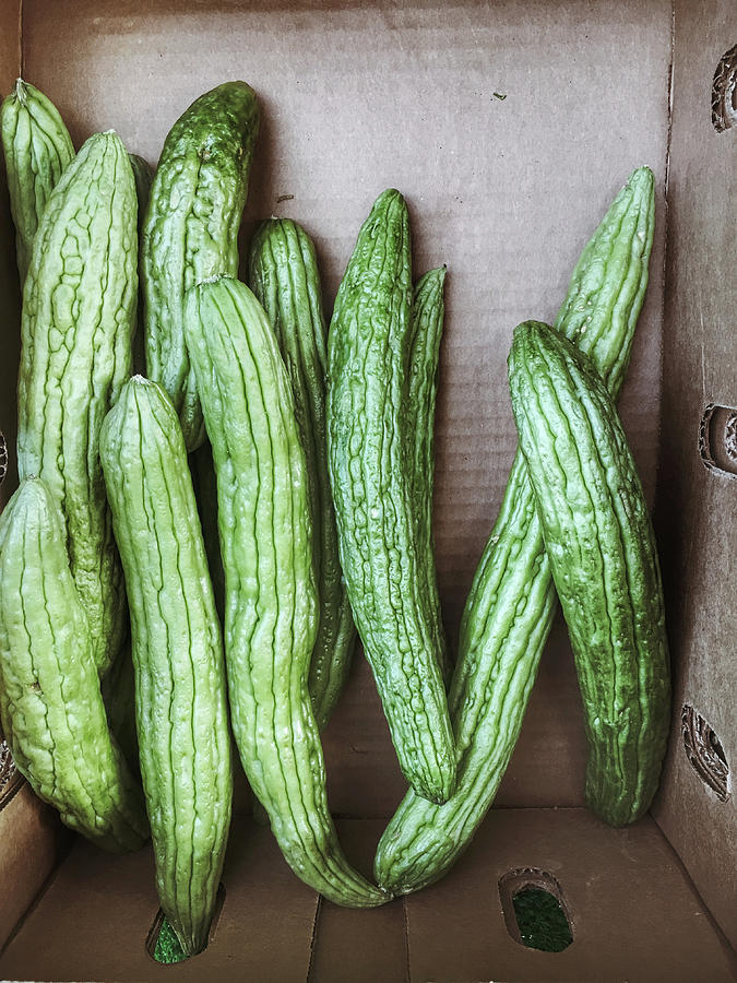 Cucumbers in a crate  Photograph by Tom Gowanlock