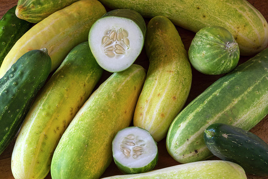 Cucumbers Photograph by James BO Insogna