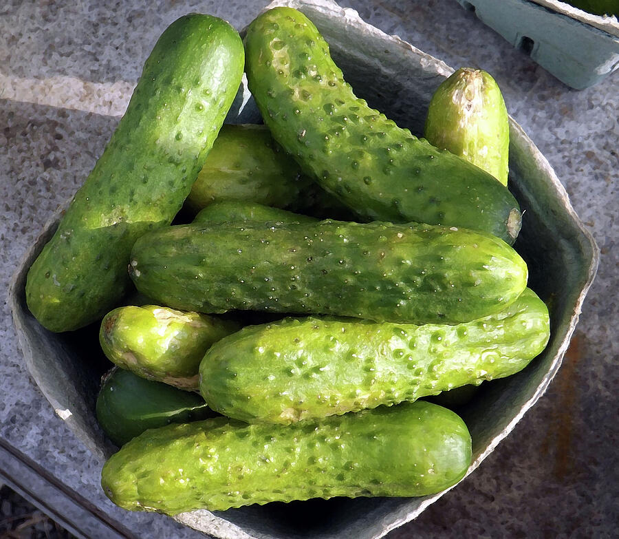 Cucumbers  Photograph by Joyce Wasser