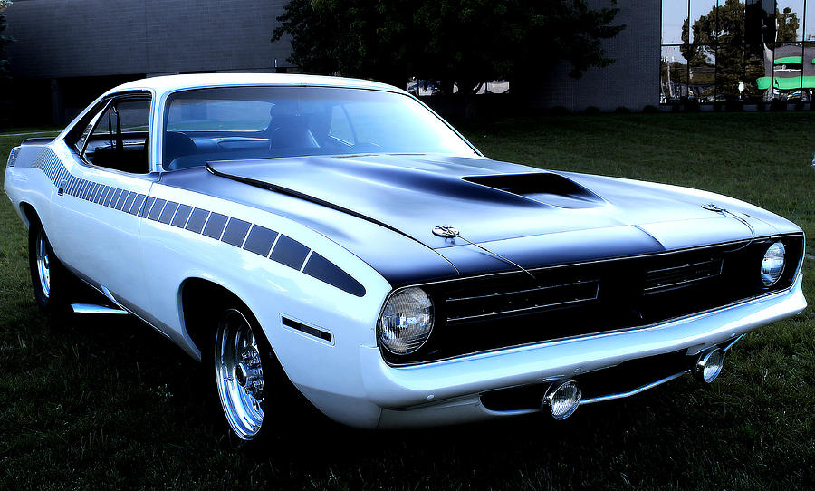 Cuda Photograph by Scott Hovind