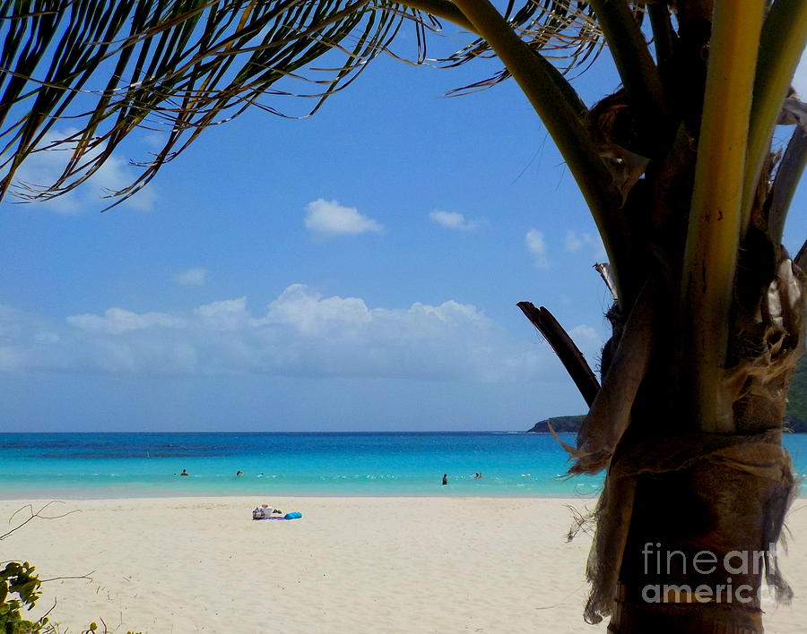 Paradise Photograph - Culebra Flamenco Beach Puerto Rico  Paradise by Charlene Cox