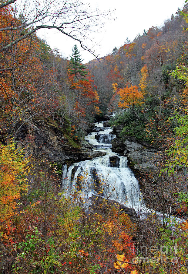 Cullasaja Falls in Autumn Photograph by Jennifer Robin