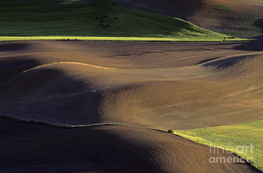 Spring Photograph - Cultivated Fields  by Jim Corwin