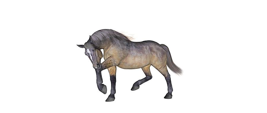 Horse Digital Art - Cumberland Blues by Betsy Knapp