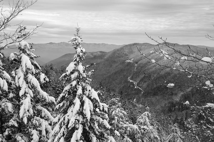 Tree Photograph - Cumberland Gap in the Smoky Mountains by Kristin Elmquist