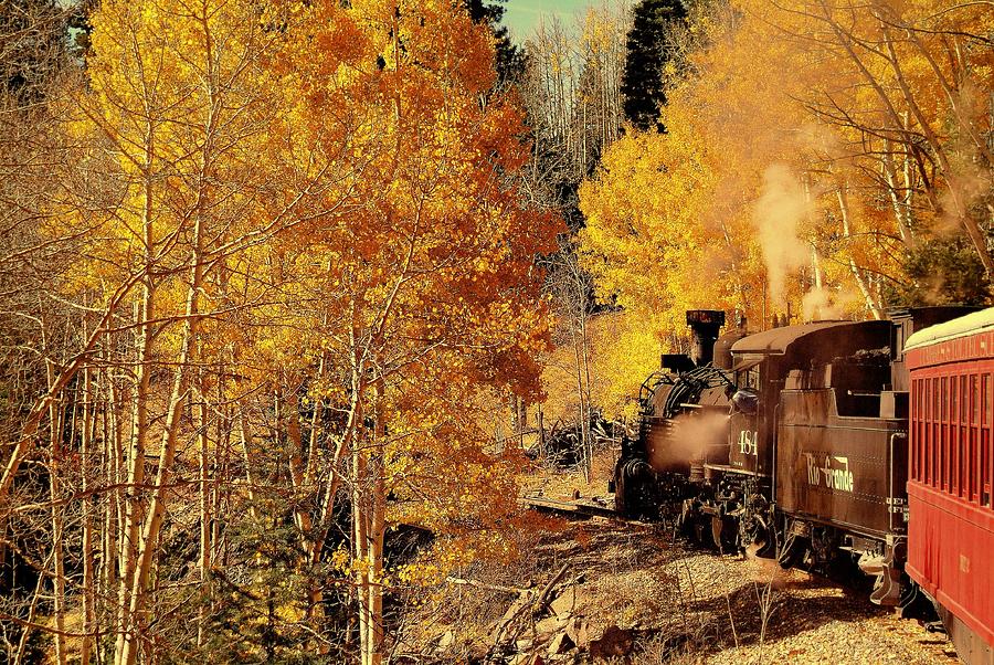 Cumbres and Toltec scenic RR..Aspens Photograph by Al Swasey
