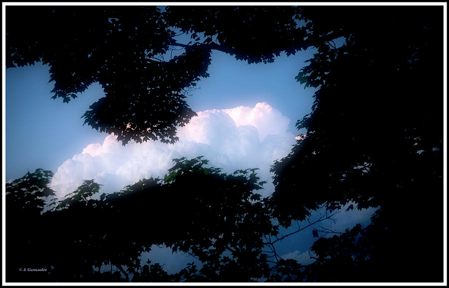Cumulus Clouds at Dusk, Tree Silhouettes Photograph by A Macarthur Gurmankin