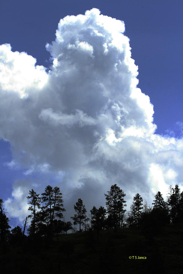 Cumulus Clouds Over Alpine Arizona Photograph by Tom Janca