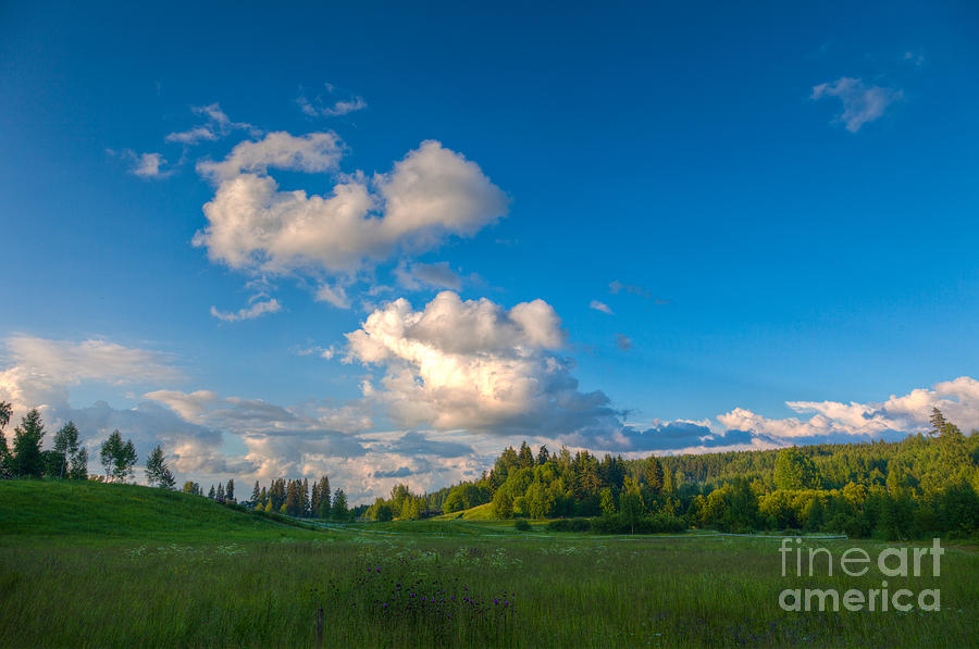 Cumulus clouds over meadow as fog is forming Photograph by Kristian ...