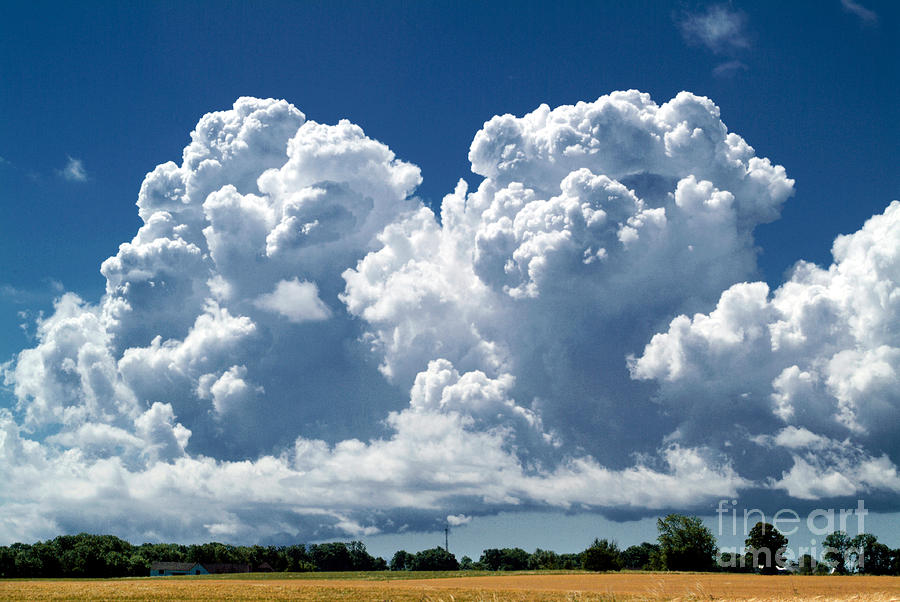Cumulus Clouds Photograph by Phil Degginger