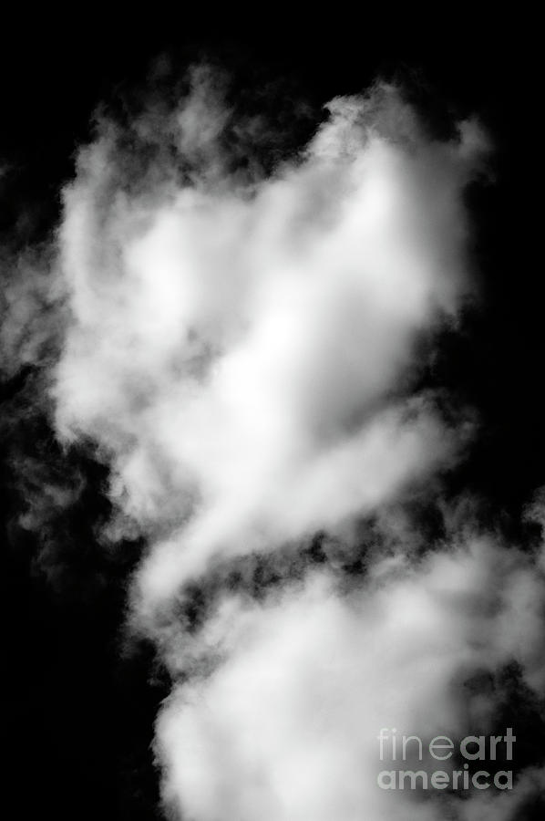 Cumulus Congestus Clouds Dog Shapes Photograph by Jim Corwin