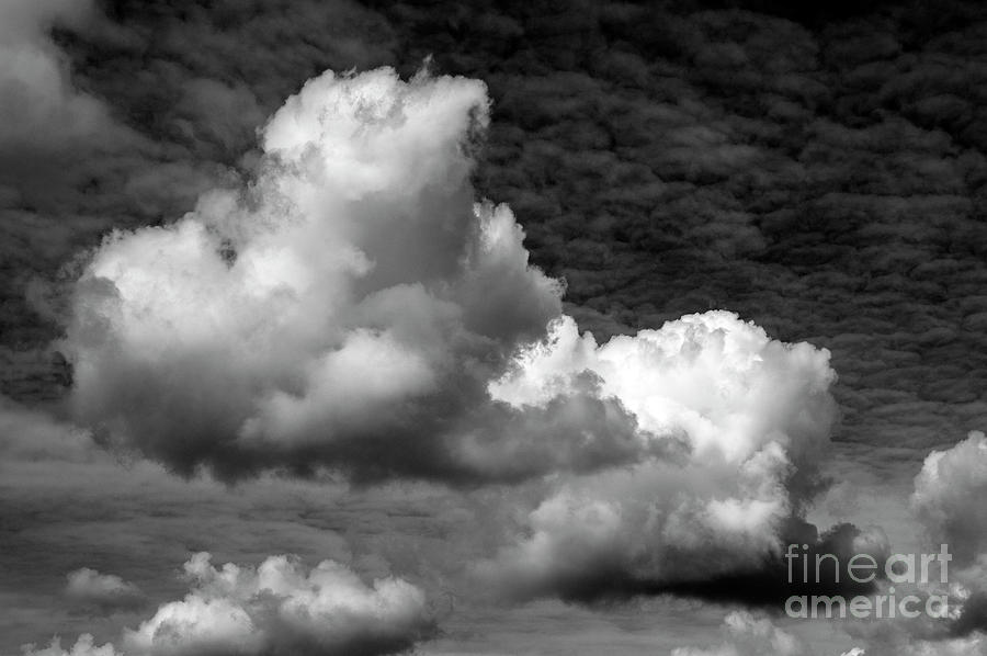 Cumulus Congestus Clouds  Photograph by Jim Corwin
