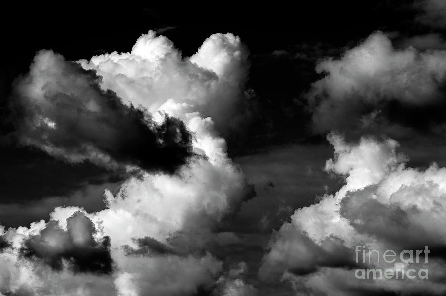 Cumulus Conjestus Clouds Photograph by Jim Corwin