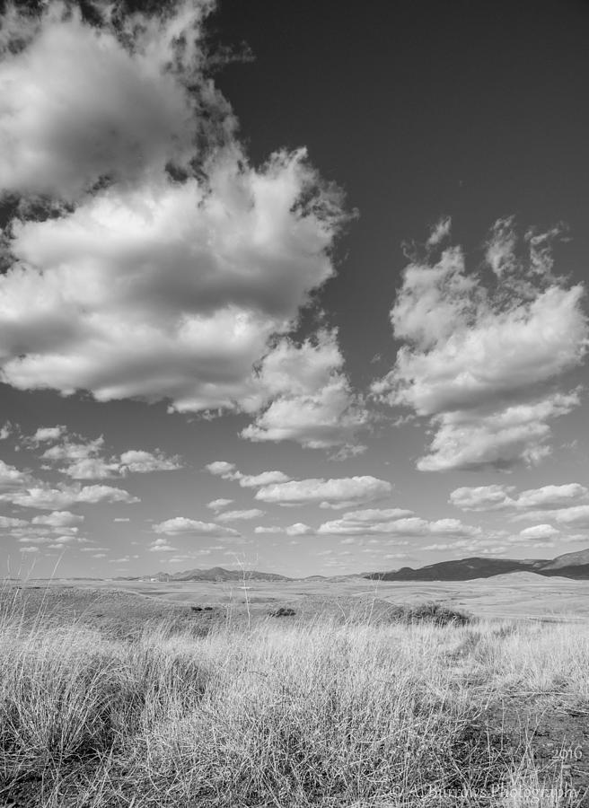 Cumulus Fields Photograph by Aaron Burrows