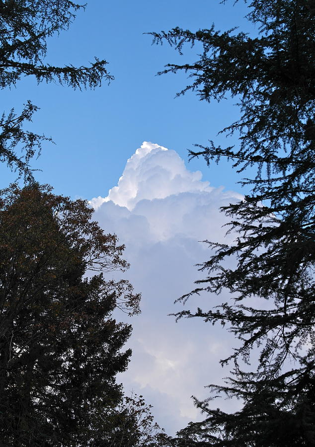 Cumulus Giant Photograph by Michele Myers