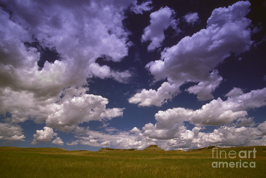 Cumulus mediocris clouds Photograph by Jim Reed