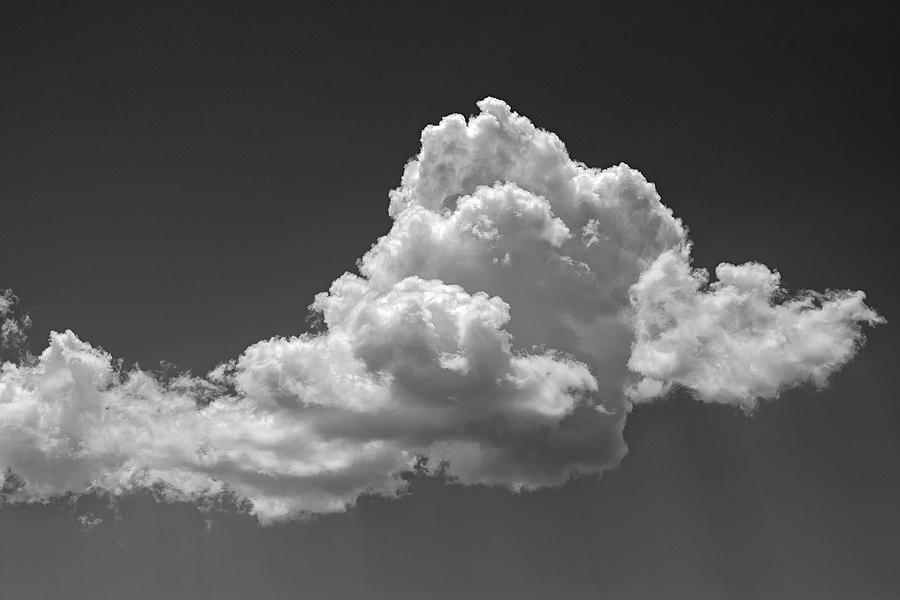 Cumulus Rising by Jason Coward Cumulus Rising by Jason Coward