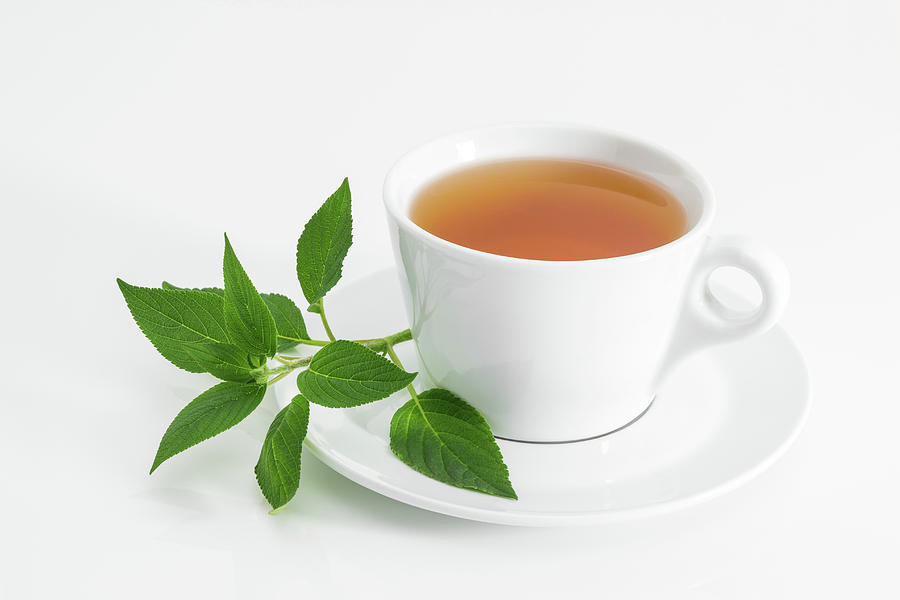 Tea Photograph - Cup of tea with fresh mint by GoodMood Art