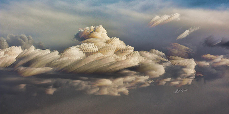 Bill Kessler Photograph - Cupcake In The Cloud by Bill Kesler