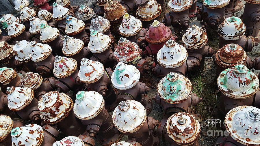 Vintage Photograph - Cupcakes by Cris Hayes