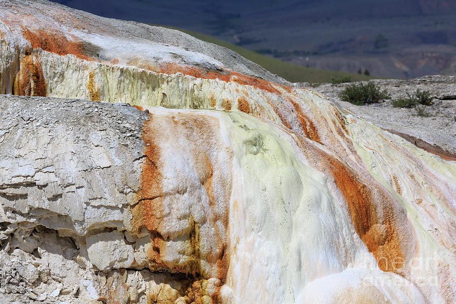 Cupid Spring at Mammoth Hot Springs Photograph by Louise Heusinkveld