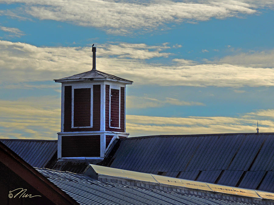 Cupola at Winsome Farm Organics Photograph by Nancy Griswold