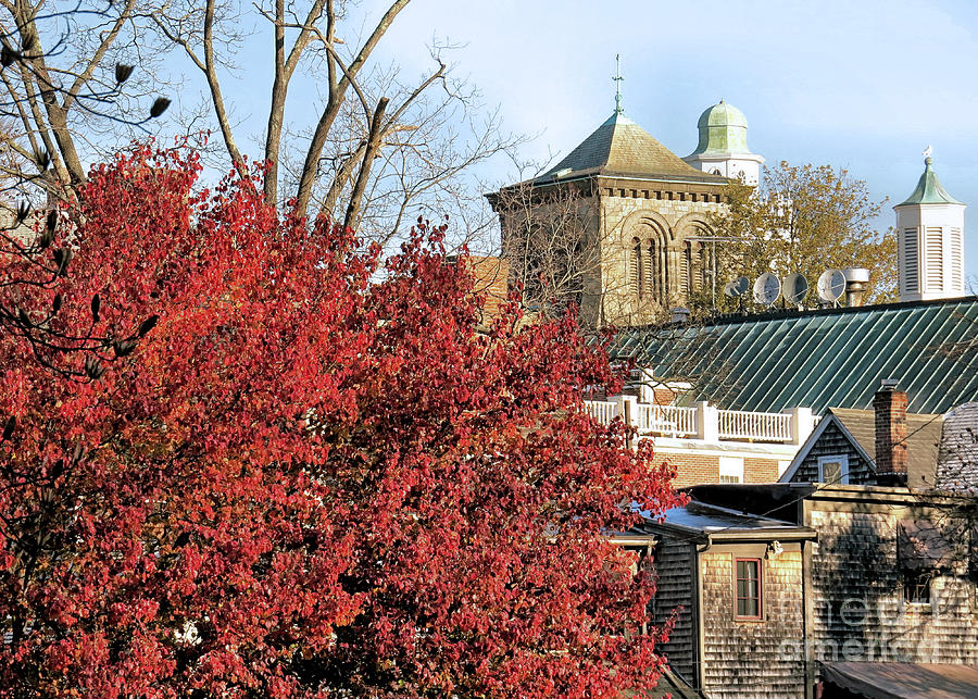 Cupolas Steeples and Rooftops Photograph by Janice Drew