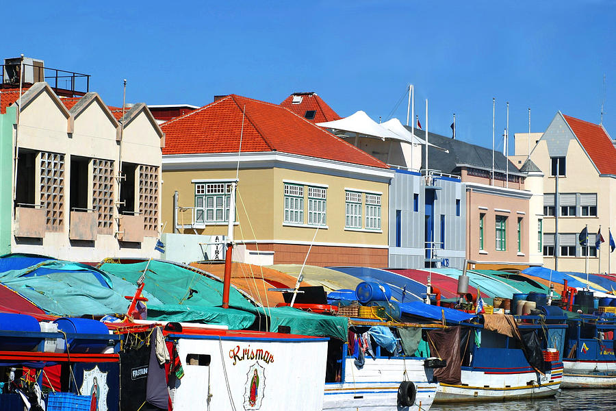 Curacao Fish Market Photograph by Living Color Photography Lorraine Lynch