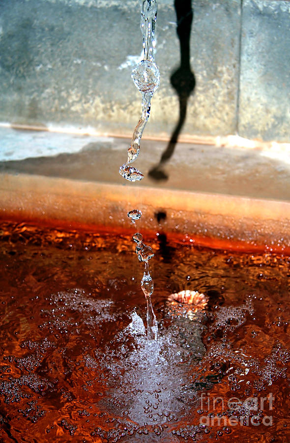 Curative Photograph - Curative Water by Sascha Meyer Curative Photograph - Curative Water by Sascha Meyer
