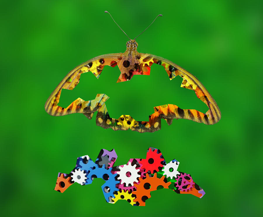 Curios Butterfly Digital Art