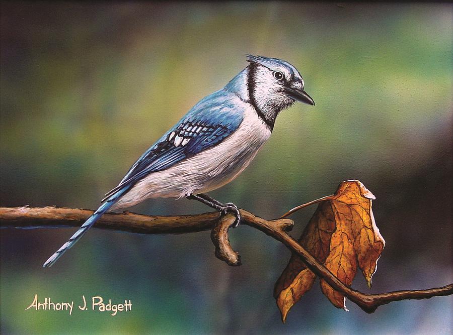 Curious Blue Painting by Anthony J Padgett