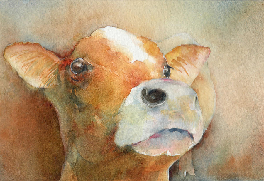 Curious Calf Painting by Maureen Moore