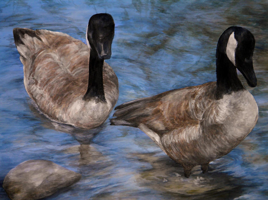 Curious Geese Painting by Meagan  Visser
