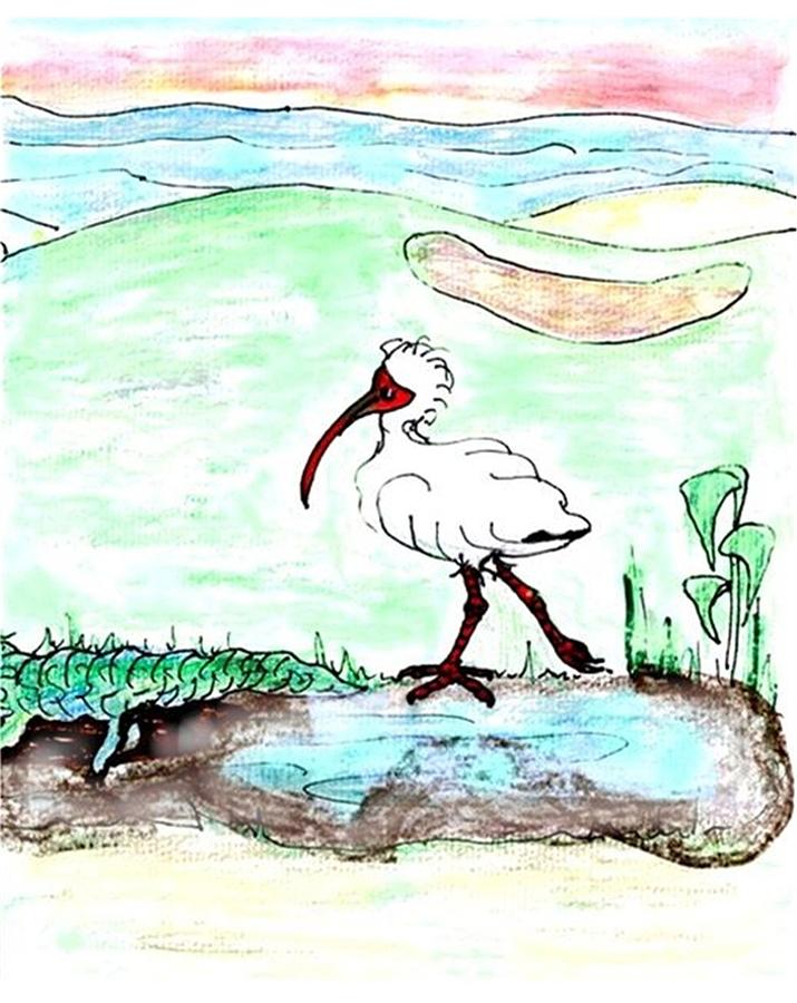 Curious ibis stands by Drawing by Carol Allen Anfinsen