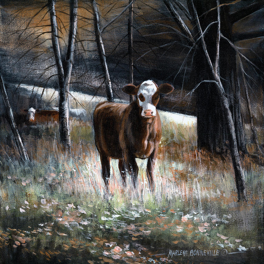 Cow Painting - Curious by Marlene Bonneville