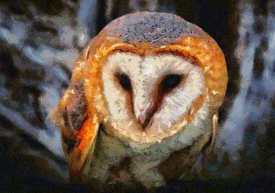 Curious Owl Digital Art by Charmaine Zoe