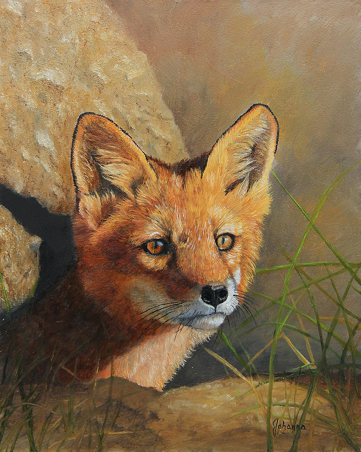 Curious - Red Fox Kit Painting by Johanna Lerwick