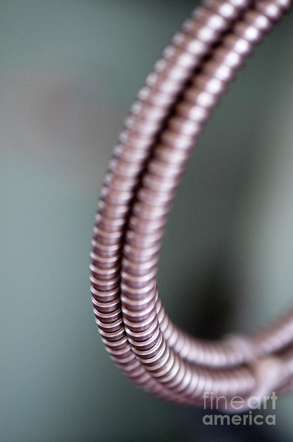 Curled Coils Photograph by Gary Chapple Fine Art America