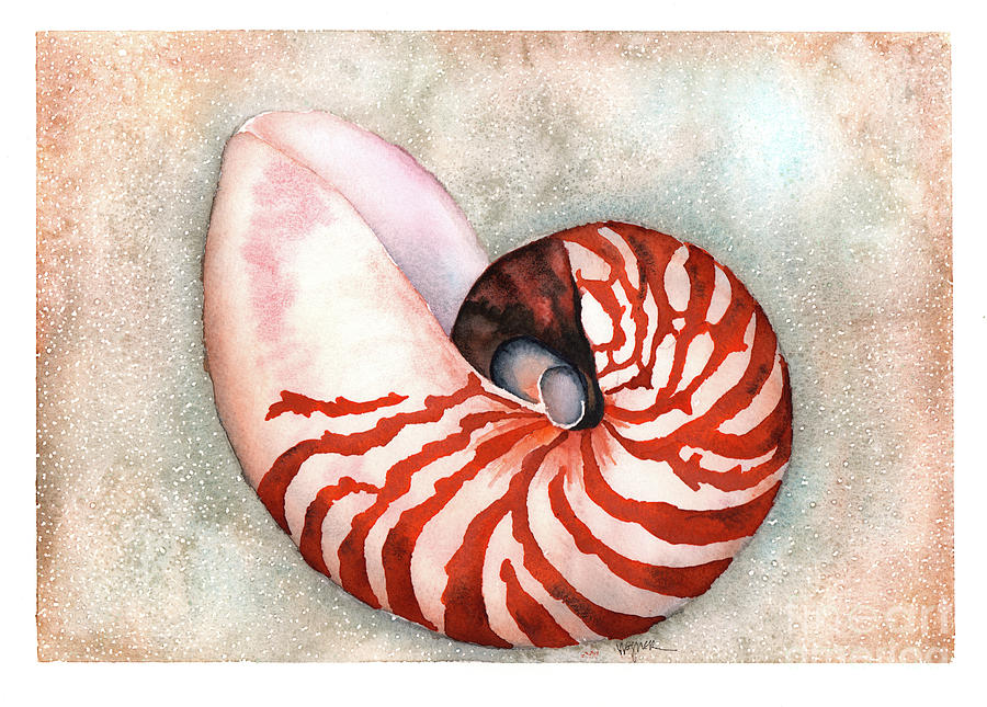 Curled Nautilus Painting by Hilda Wagner