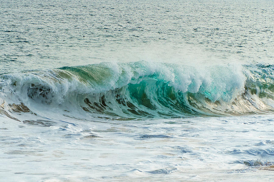 Curled Wedge Wave Photograph by Chris and Wally Rivera - Fine Art America